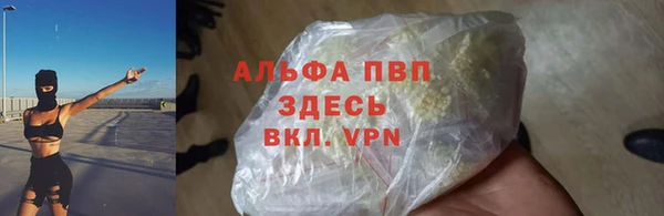 прущие грибы Белоозёрский
