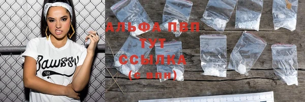 прущие грибы Белоозёрский