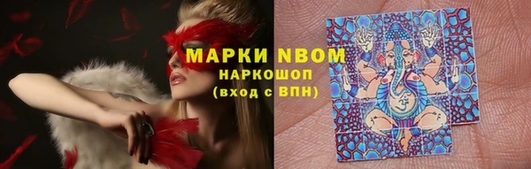 прущие грибы Белоозёрский