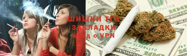 прущие грибы Белоозёрский